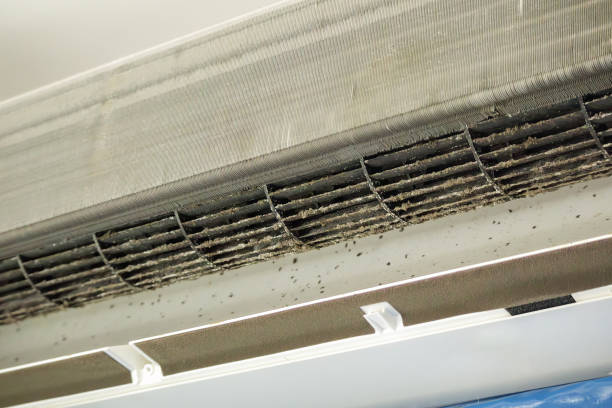 Best Ductwork Cleaning Services  in Birngham, MI